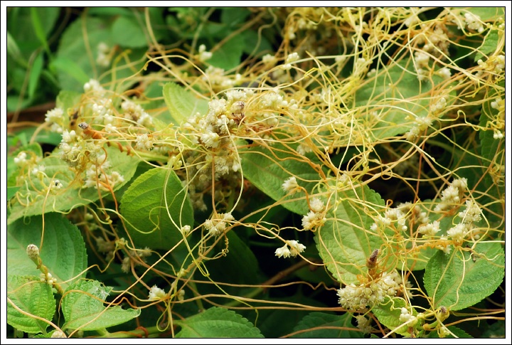 Нет страшней порока творить зло - беззвучно!