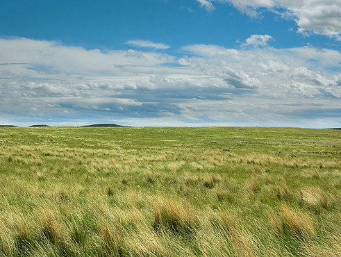 Чисте небо...