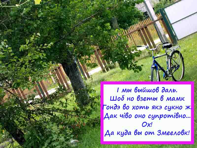 Из вершый нымовлетк