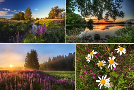 Пейзажная зарисовка