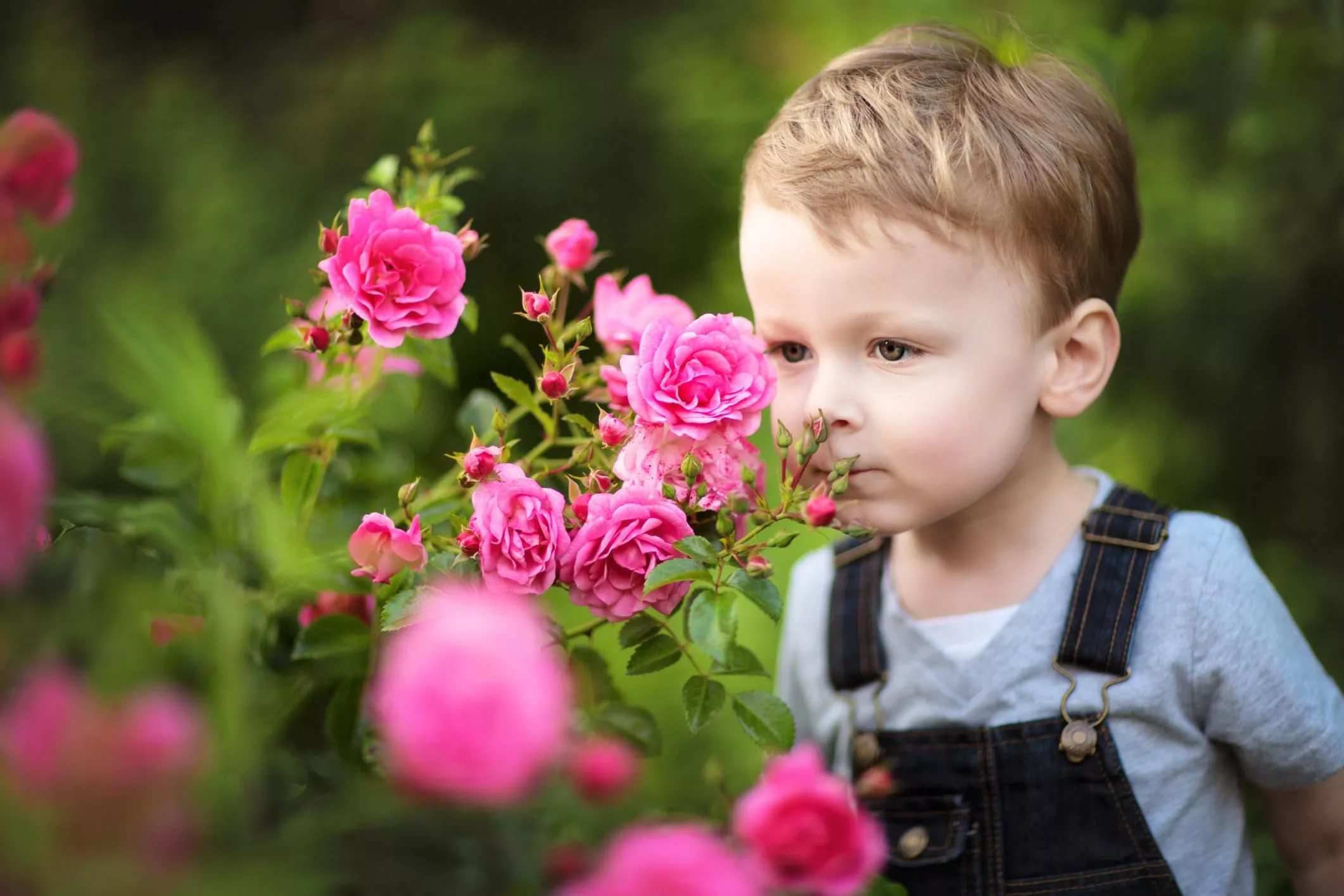 День сыновей ролики. Дети розы. Мальчик с цветами. Дети с цветами. Мальчик с розой.