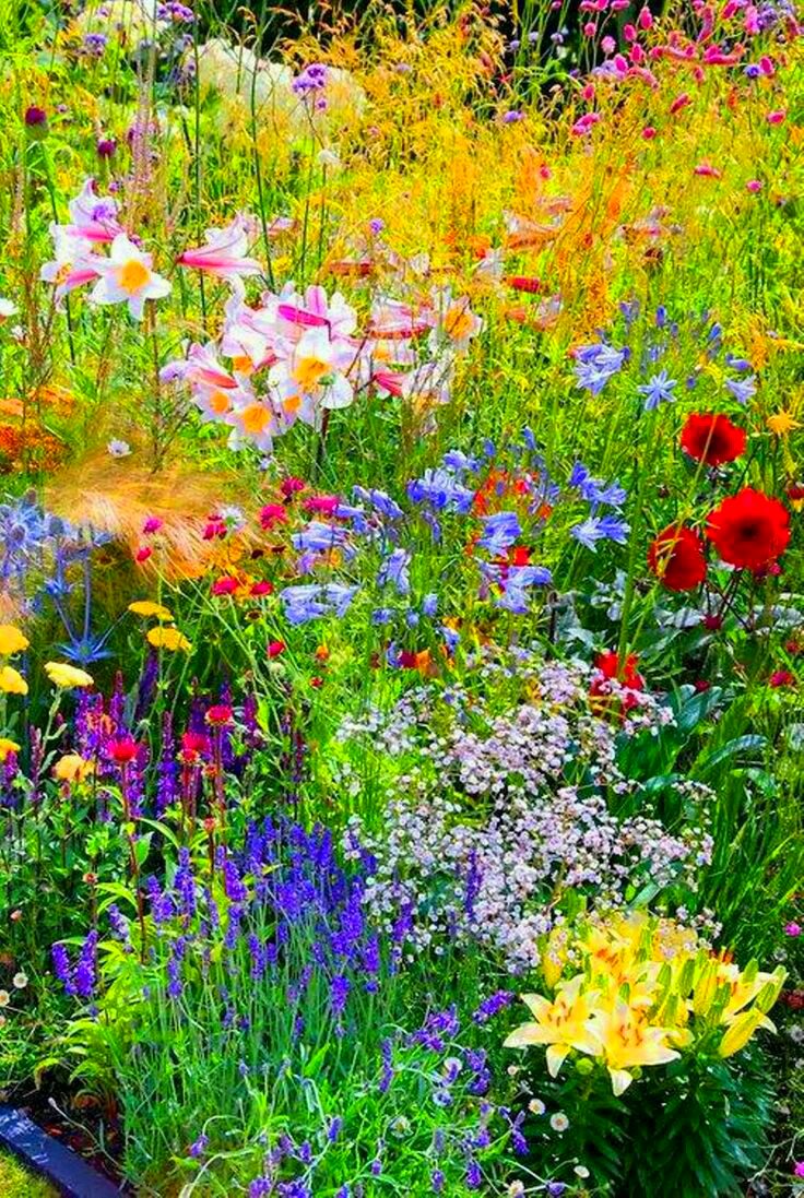 Вымаливать не должен ничего в тебе БОГАтстсв полно