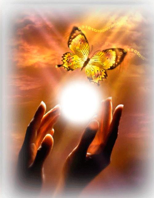 Я твой мотылёк