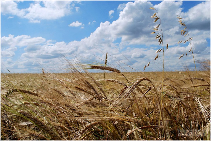 Русское слово