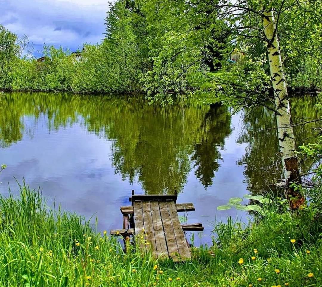 На природе у реки