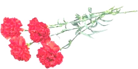 Крепнет вера