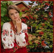 Куст калины и рябина