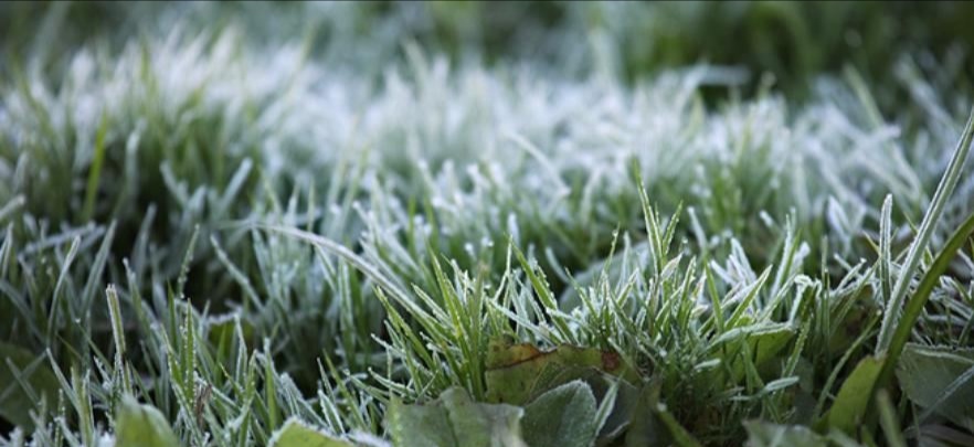 Июль покидает прохладой...