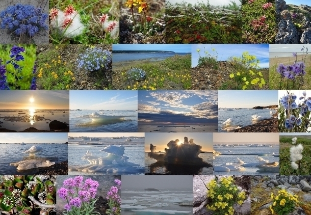 Лучшее море - ближайшее Карское...