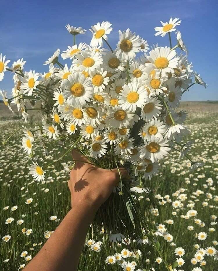 Глупо страховаться от несчастий