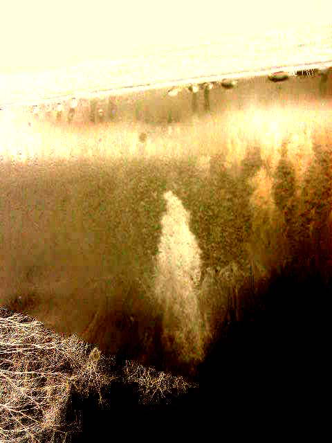 И рухнет мир в безвременьи событий