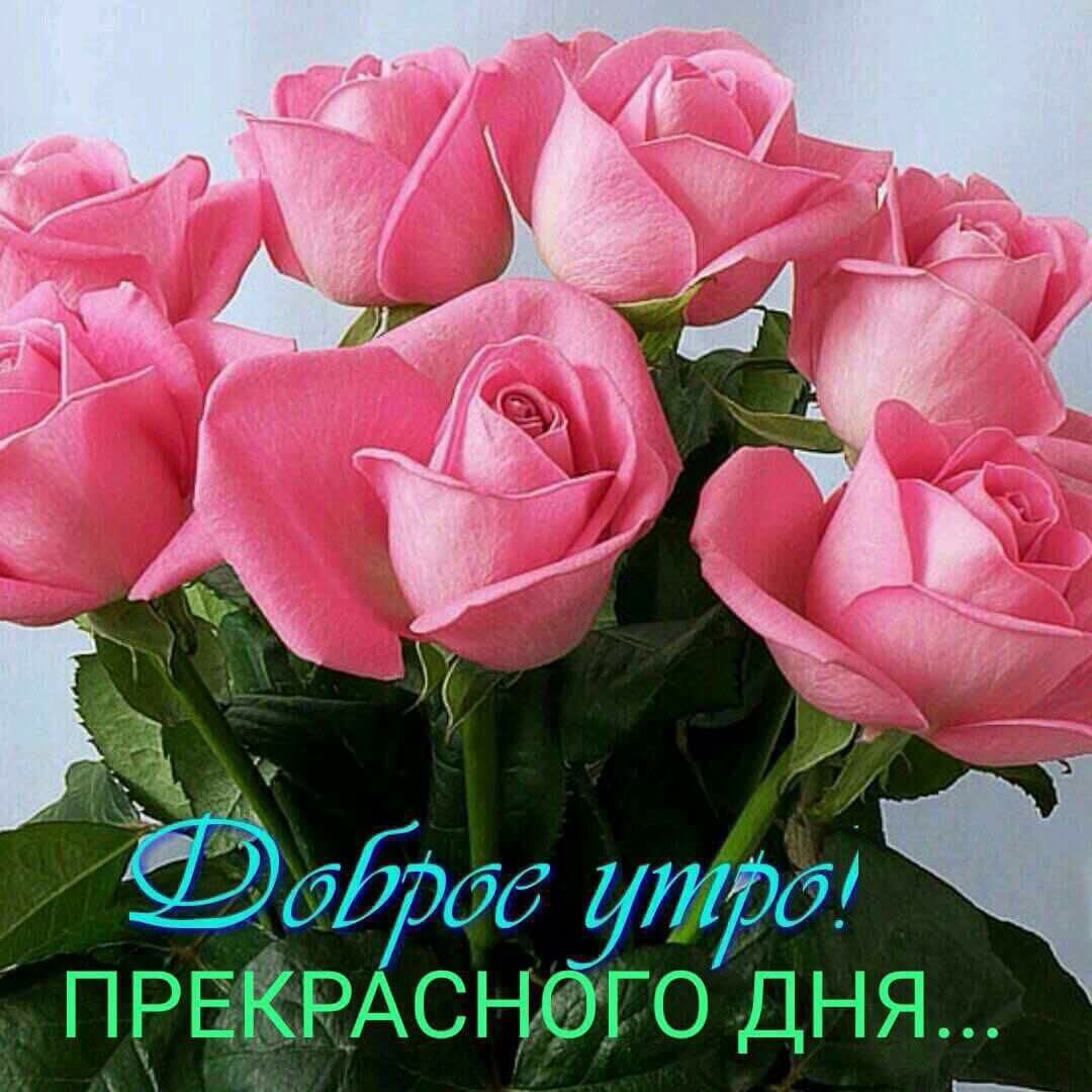 54. Прошу мне Позвони-!!!