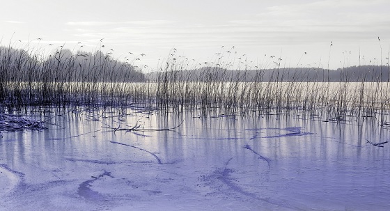 В хижине никого