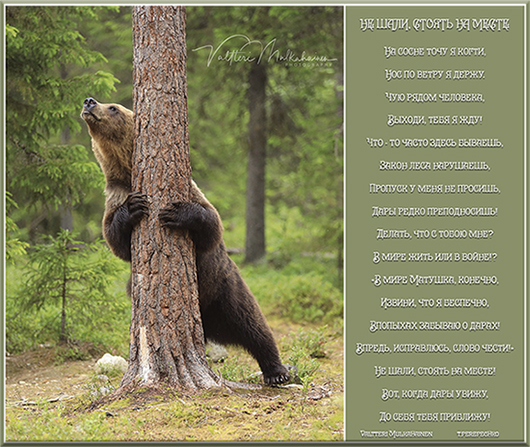 Не шали, стоять на месте