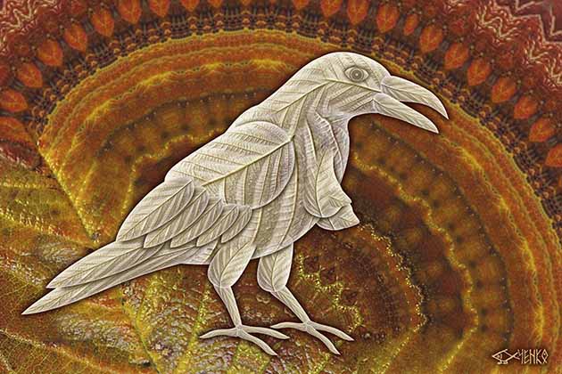 Птичье Молоко Белых Ворон