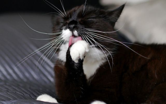 Лучший инструмент