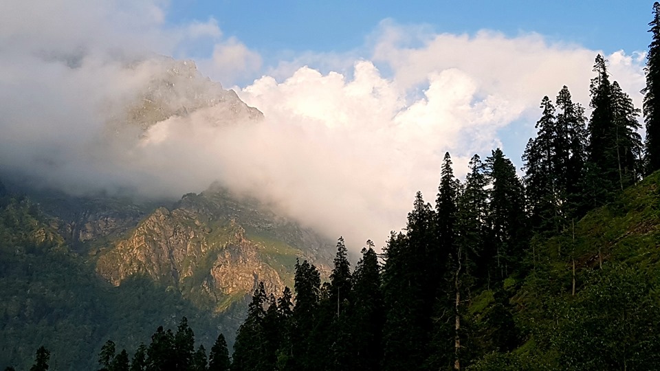 Пусть Свет струится... (Ната Воскресенская) / Стихи.ру