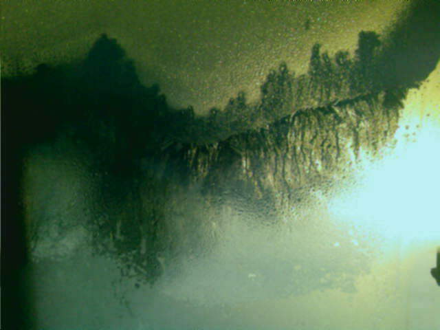 Рождается великая любовь