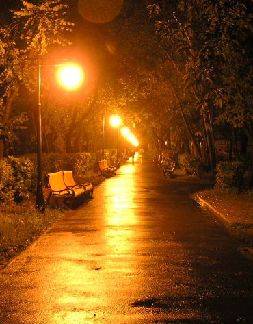 Дождик скучно моросит в тиши