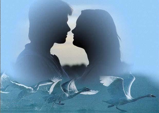 Повстречались две раненых птицы...