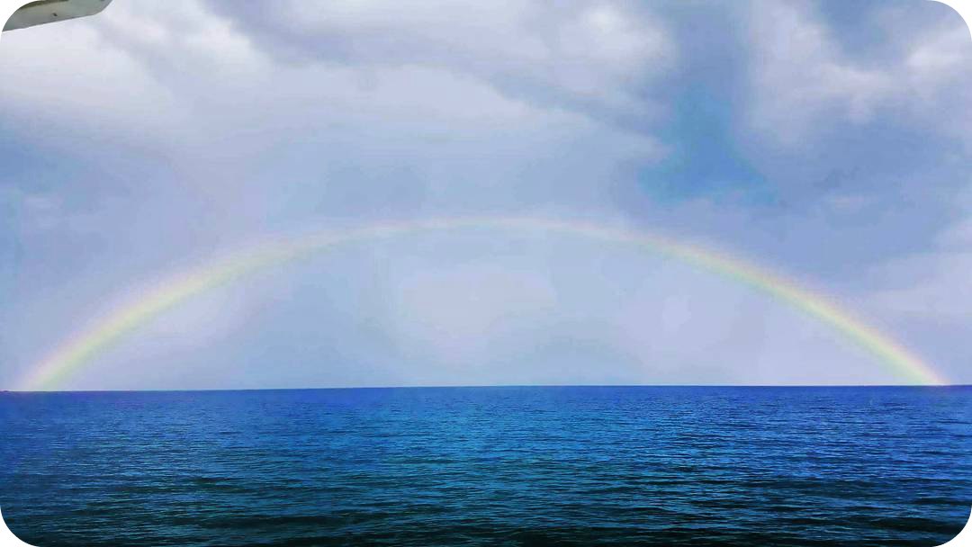 Ты читатель спутник мой сотворец наш дорогой!