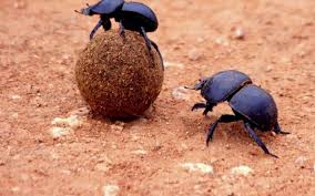 Американский Плавильный Котел