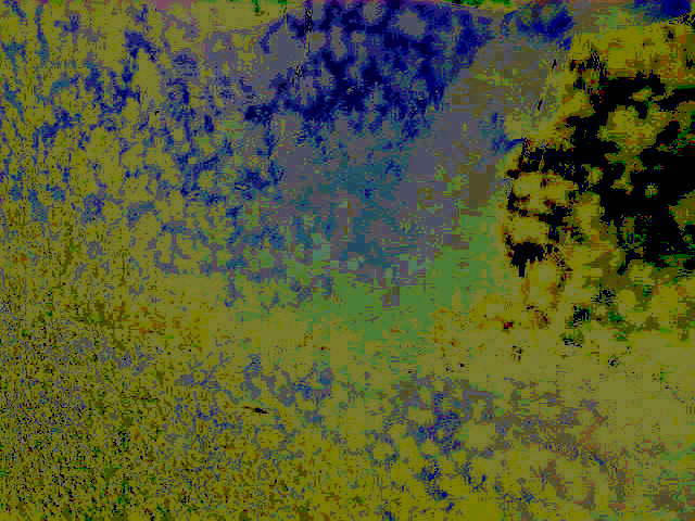 Был чистым лист - непаханое поле