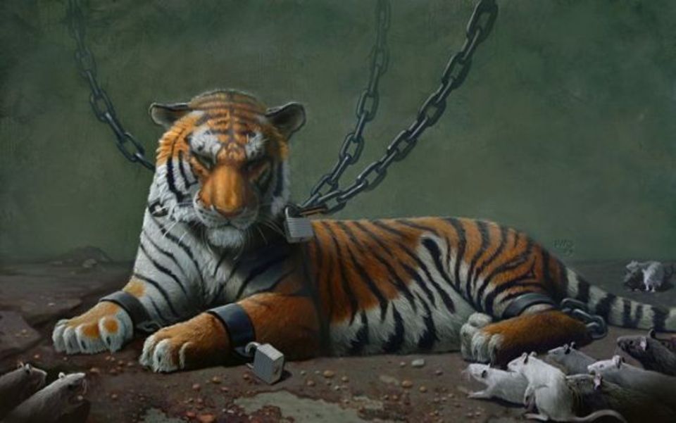 Раненый тигр. Тигр арт. Тигр арты. Тигрица арт.