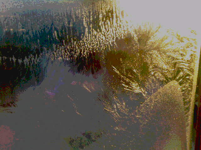 Пролился дождь, согрело землю солнце