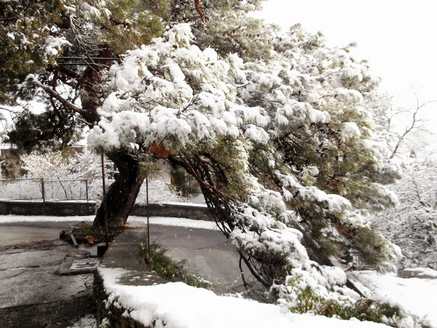 7. 52. Я подарю тебе серебряные струны...