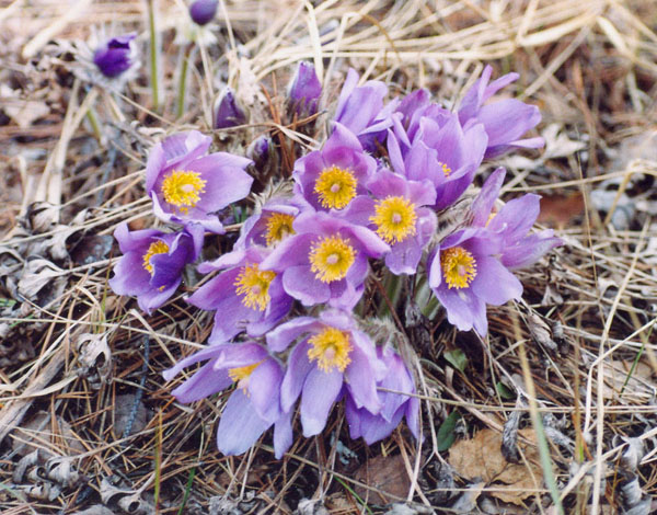 7. 46. А ты не знал...