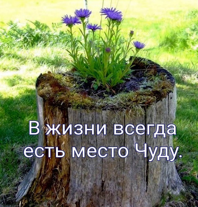 Как всегда на самом интересном месте