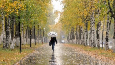 Мокрый август