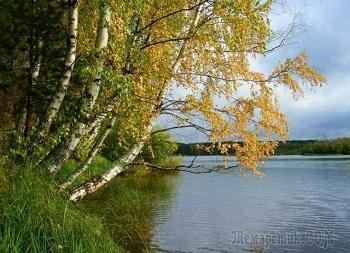 Приметы осени