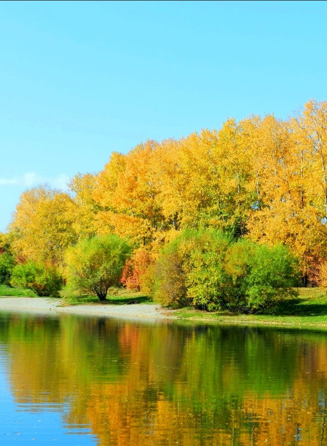 Пора уходящего лета...