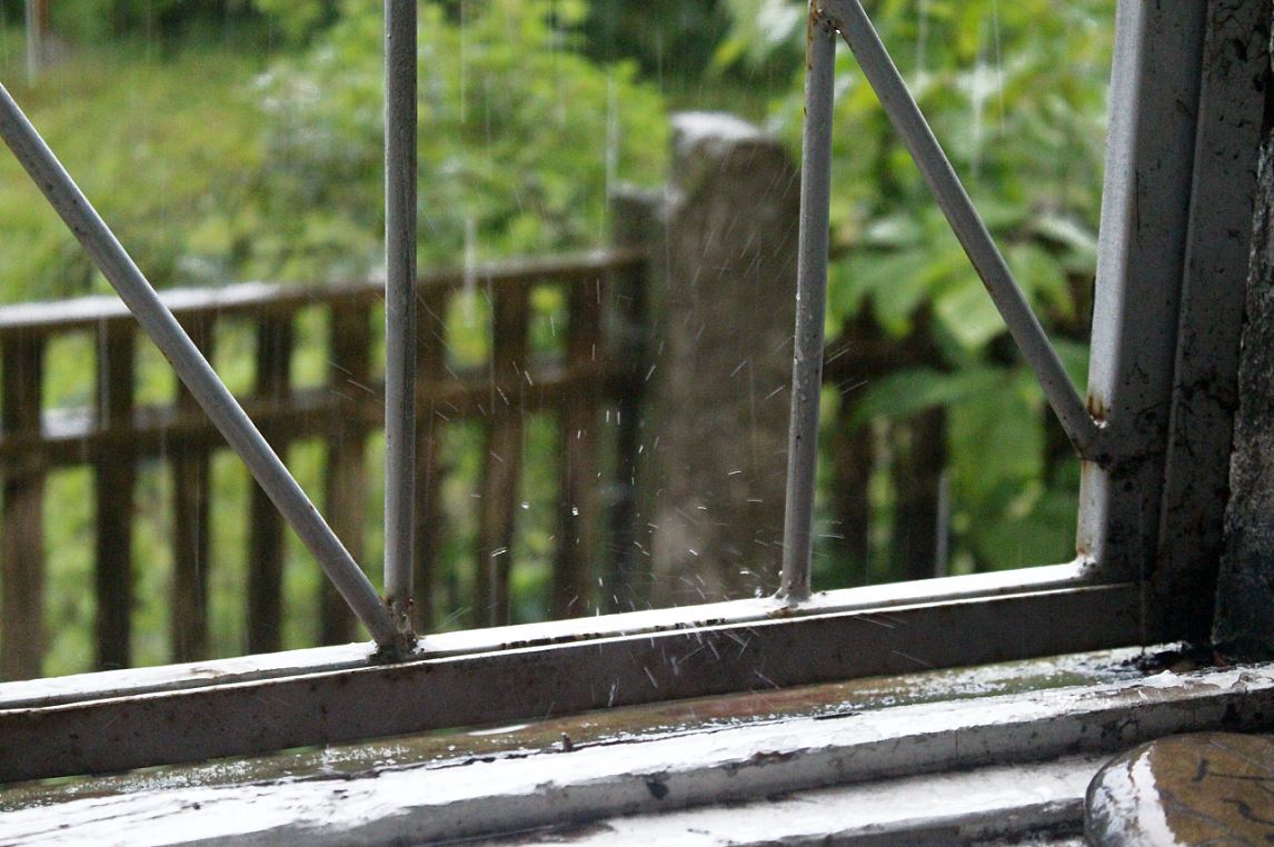 Симфония дождя