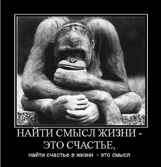 А я Серёжа
