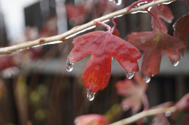 Август на исходе...