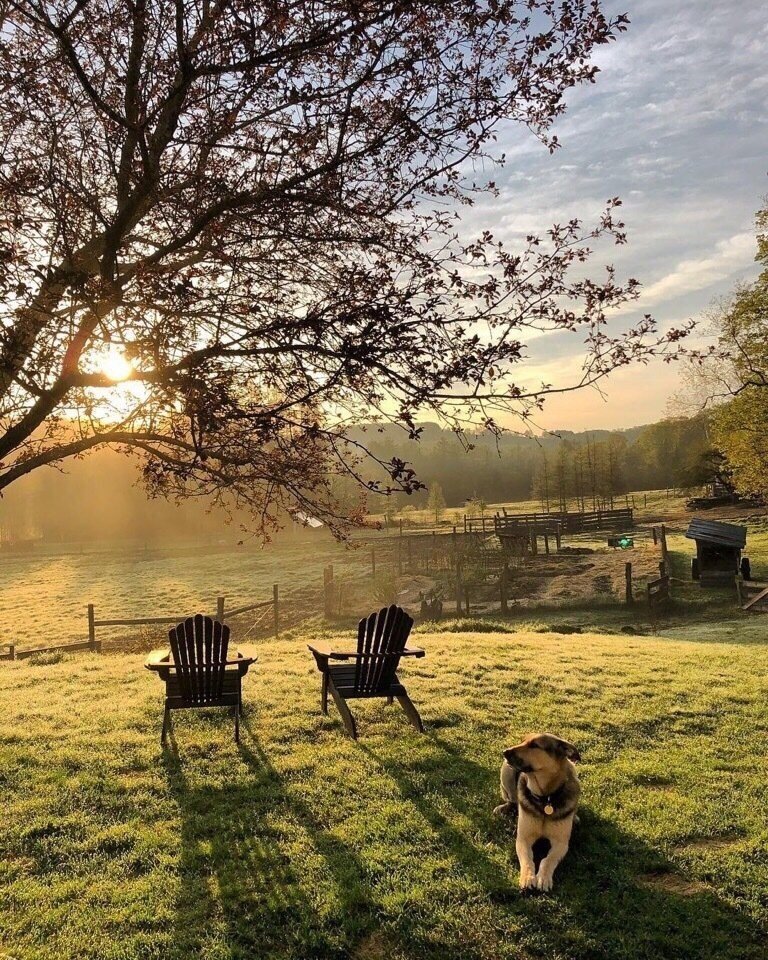Предосень (Вероника Невзорова) / Стихи.ру