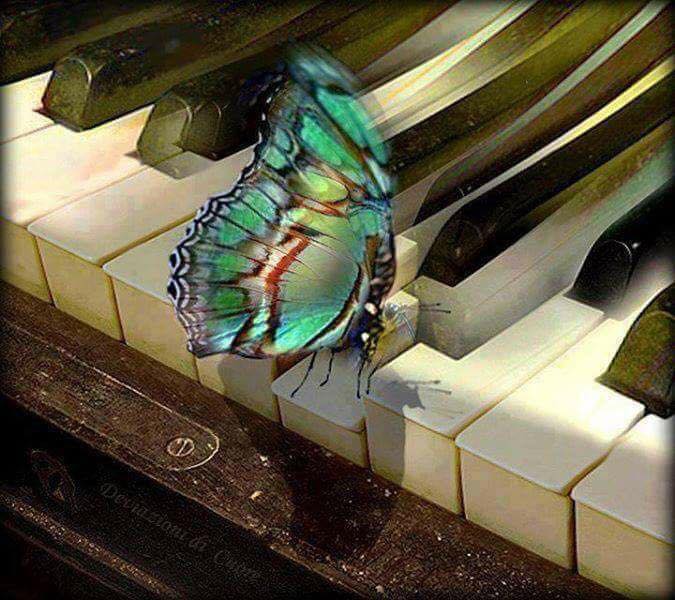 Я всегда хочу порадовать тебя собой полюбому