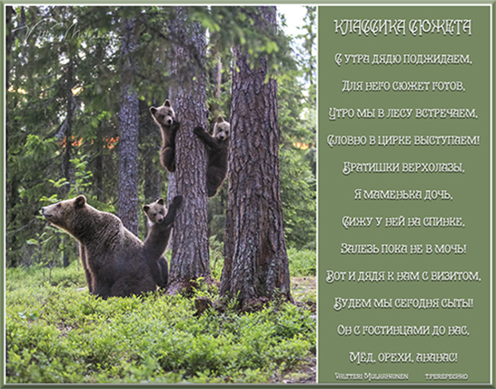 Классика сюжета