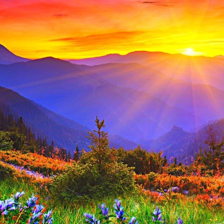 Ты моё солнце