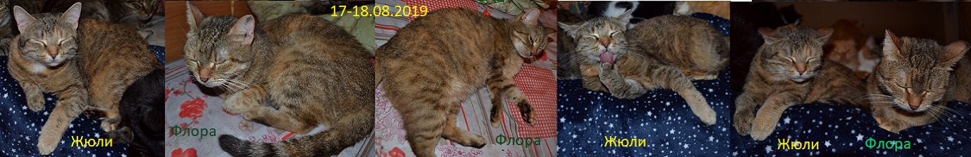 фото-кото. создай себе копию - Флора и Жюли