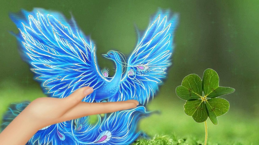 А где то счастье?