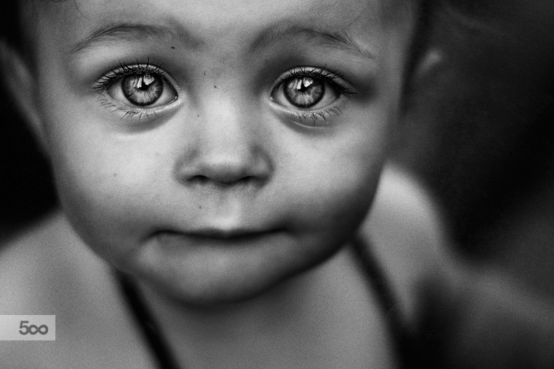 Дуракам закон не писан. ЗаконоТворчество