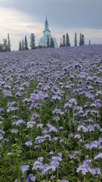 Кем бы ты ни был