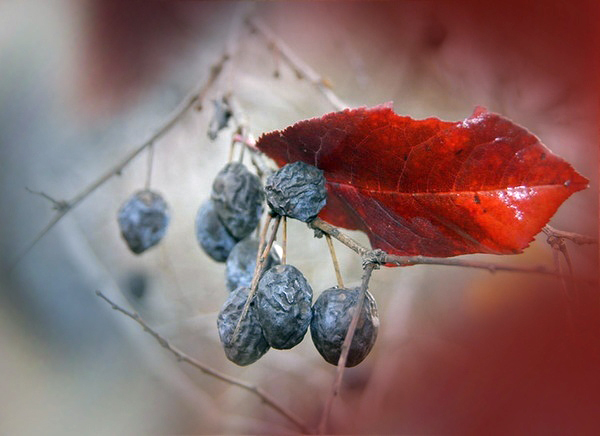 Осень, осень, ты снова идёшь хулиганить!