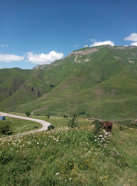 Когда нибудь