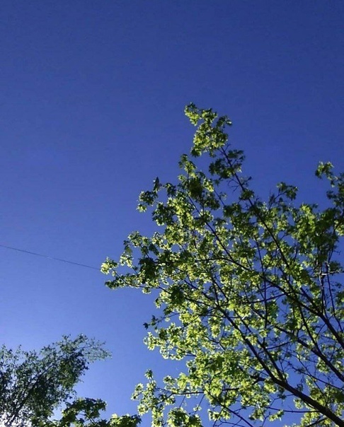 Мир без суеты