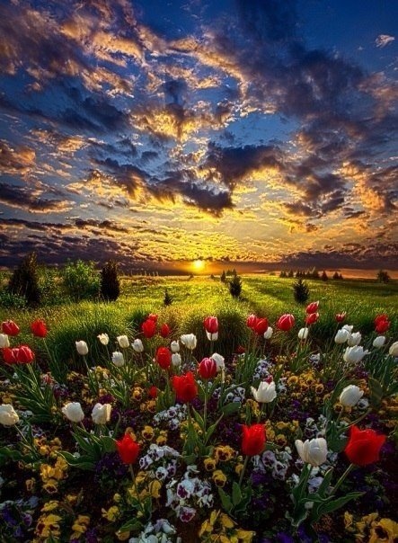 О чем мечтает солнце?